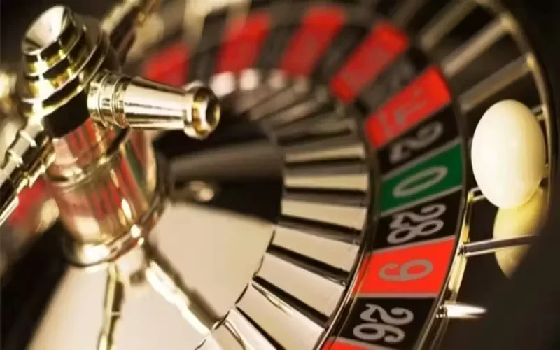 Brazilian player engaging in a premium live casino game on their smartphone